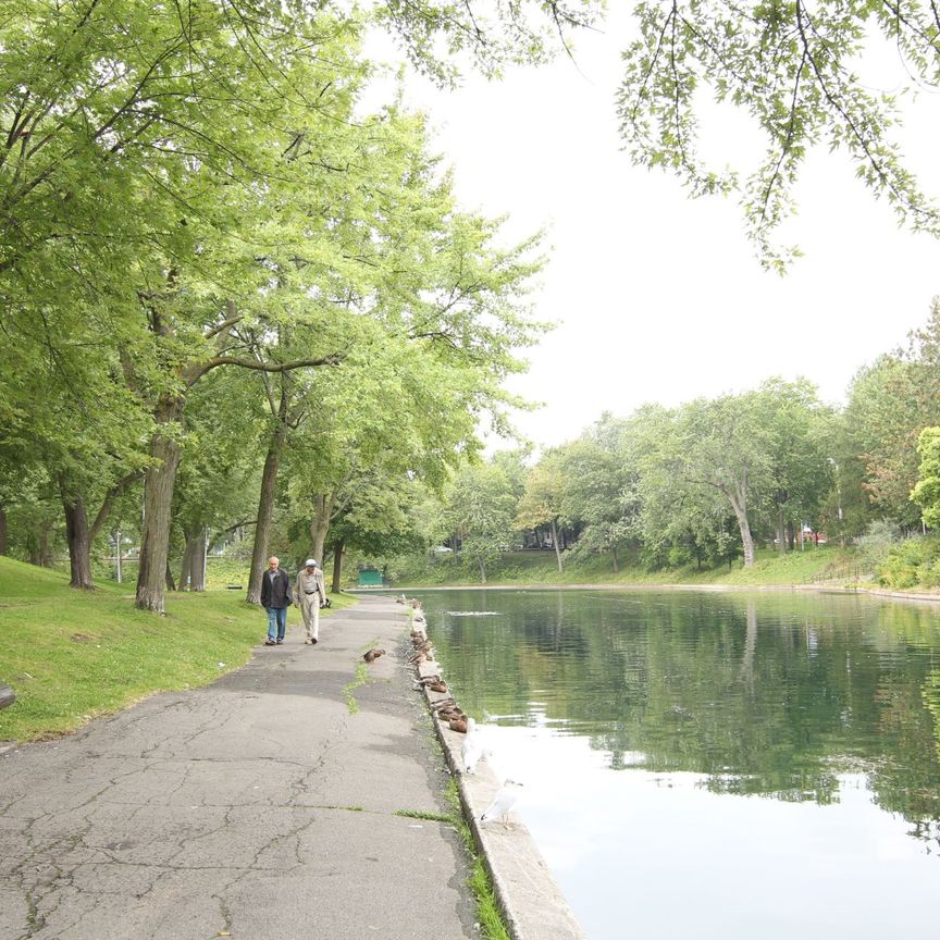 Appartement à louer, Montréal (Ville-Marie) - Photo 1