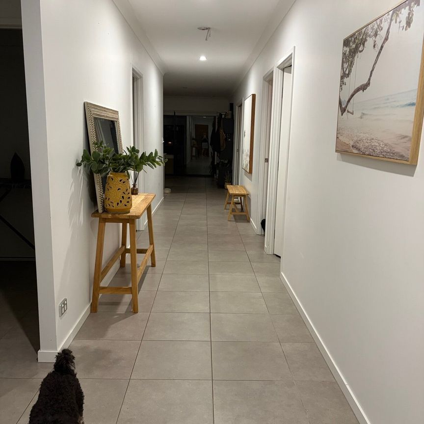Palmview - Photo 1