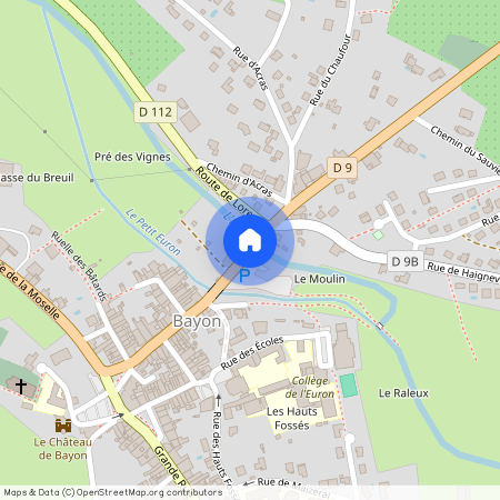 GRAND-EST, MEURTHE-ET-MOSELLE (54), 54290, Bayon