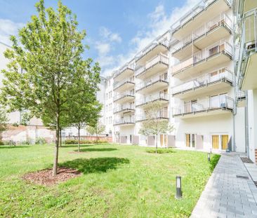 Charmante Maisonette-Wohnung in Dresden-Neustadt zur Miete - Wentze... - Photo 2