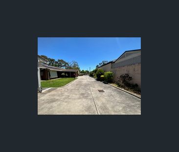 Spacious Homette With A Private Courtyard! - Photo 6