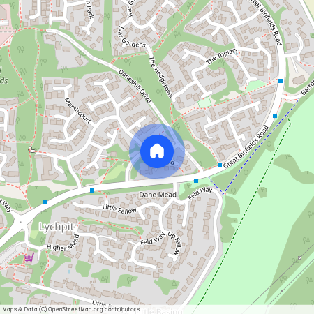 Poppy Field, Lychpit, Basingstoke, RG24