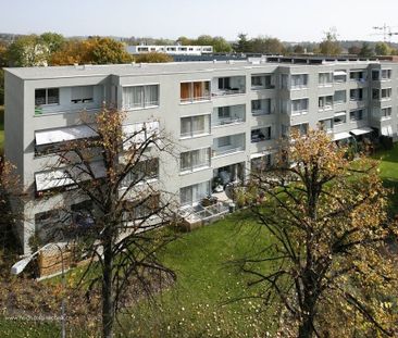 Spend next summer at your own seat - Photo 5