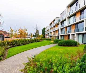 Wonen in een groene omgeving vlak bij het centrum van Beveren - Foto 5