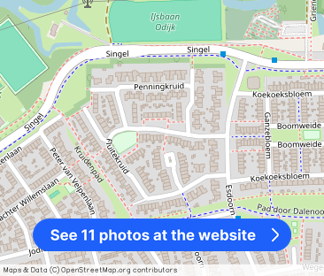 Fluitekruid 46 3984 BD Odijk - Photo 1