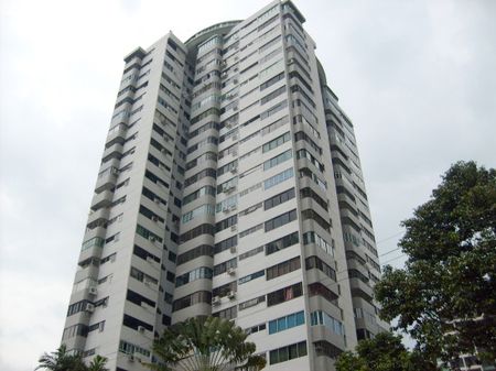 Rajah Tower (D12), Apartment - For Rent - Photo 3