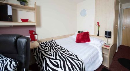 Ultimate Ensuite - Photo 4