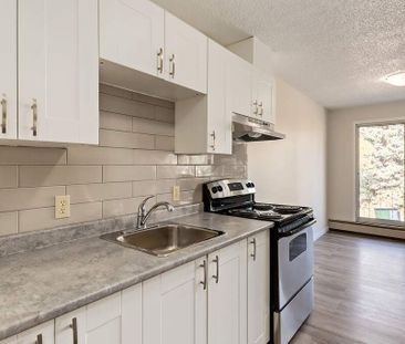 Renovated Suite - 1 Bedroom - Photo 6