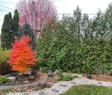 For Lease - 336 Hampton Heath Road, Burlington, Ontario - Photo 5