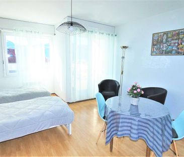 Location Appartement 1 pièce 26m² AIX LES BAINS 73100 - Photo 2