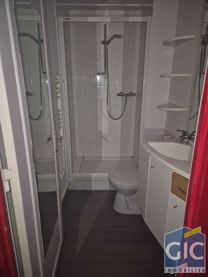 Location Appartement 1 pièce 21m² - Photo 1