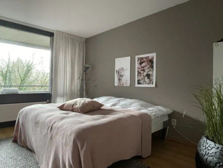 Appartement avec galerie Annie M.G. Schmidtstraat, Alkmaar - À louer - Foto 5