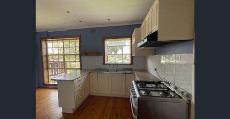 Big backyard, big garage, character home - Photo 4