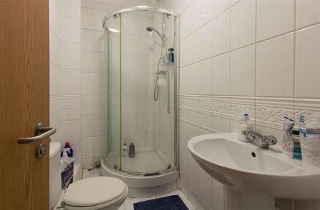 Glynrhondda Street, Cathays, CF24 - Photo 5