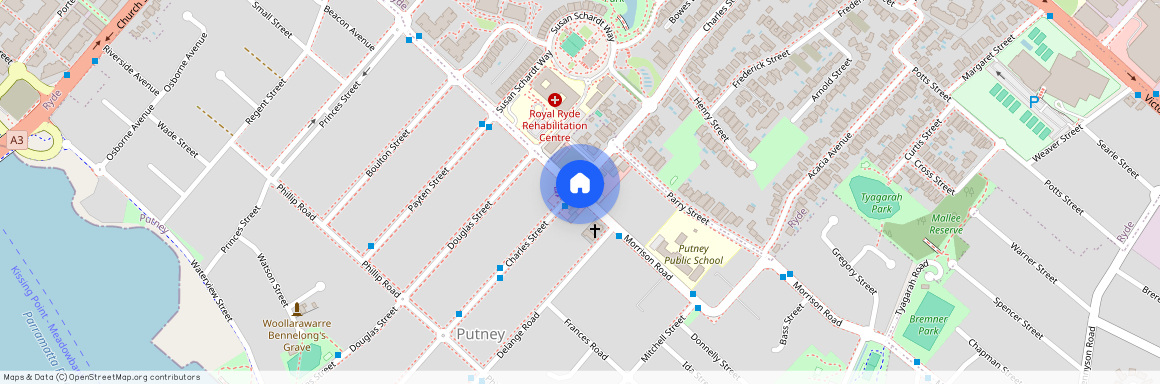 163 Morrison Road, NSW 2112, Putney