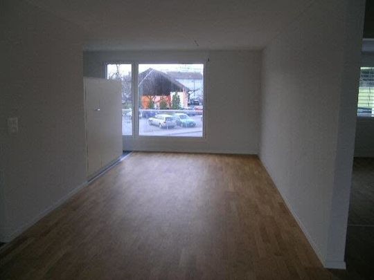 3.5 Zimmer, 90 m² - Photo 1