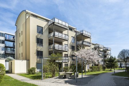 Moderne 5.5-Attikawohnung an zentraler Lage - Photo 2