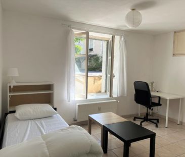 Location Appartement 1 pièce Meublé 28m² BLOIS 41000 - Photo 2