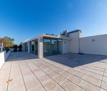 4 room luxury penthouse for rent in Madrid, Autonomous Region of Ma... - Photo 6