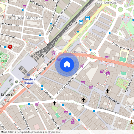 Salesas-Foncalada-Campoamor, Oviedo