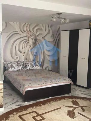 Apartament 1 camera, USAMV - Fotografie 1