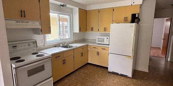 1 CH - 1 SDB - Sherbrooke - $980 /mo - Photo 3
