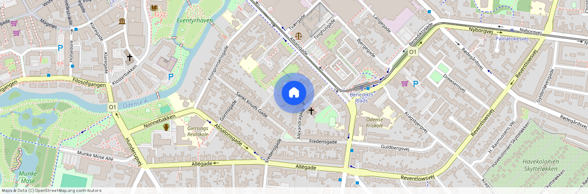 Dagmargade 6, 1. tv, 5000 Odense C