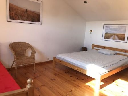 Praga Południe, Warszawa - Zdjęcie 2