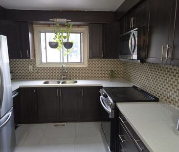 For Lease - 61 Collins Crescent, Brampton, Ontario - Photo 3