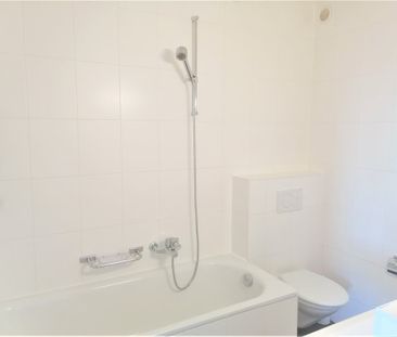 Gradelle - Au dessus du parc des Eaux-Vives - Photo 6