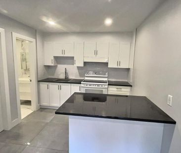 1 CH - 1 SDB - Montréal - $1,100 /mo - Photo 3