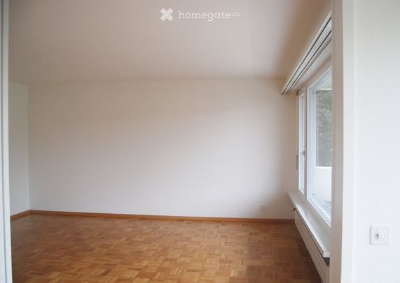 Helle 4.5-Zimmer-Wohnung im Erdgeschoss mit Balkon und Garage in Therwil - Foto 1