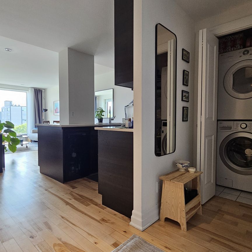 Superbe condo tout meublé dans la Petite Italie ! - Photo 1