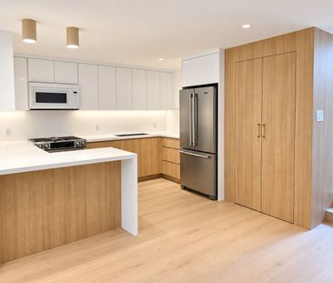 For Lease - 127 Lisgar Street Unit# Lower, Toronto, Ontario - Photo 2