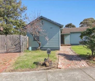 Williamstown - Photo 6