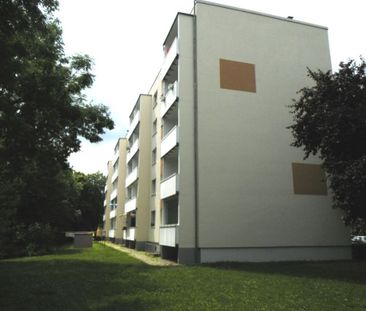 1- Raumwohnung im beliebten Knieper Nord! - Photo 2