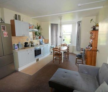 Spring Gardens, Ventnor, Isle Of Wight, PO38 - Photo 3