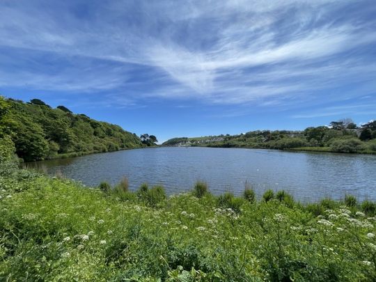 Tremorvah Court - Falmouth - Photo 1