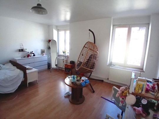 : Appartement 101.51 m² à CHAZELLES SUR LYON - Photo 1