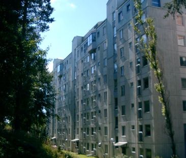 Silverstigen 7 - Photo 3