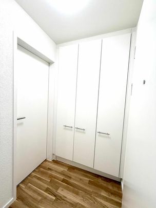 Erstbezug 2.5-Zimmer mit eigener WM/TU, grossem Balkon und Kellerabteil - Photo 1