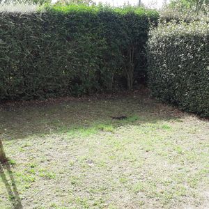 location Appartement T3 DE 62.66m² À MERVILLE - Photo 2