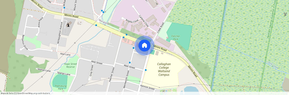 3 Pony Cl, NSW 2287, Minmi