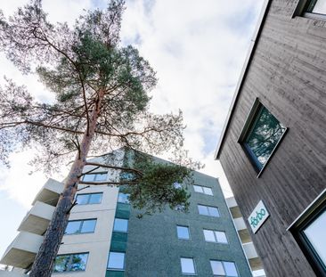 Bergsslingan 109 - Photo 2