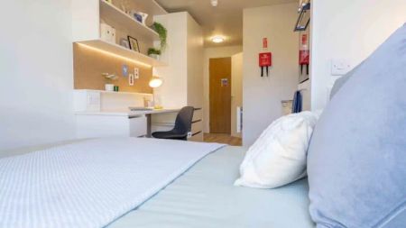 Bronze Studio Plus - Photo 4