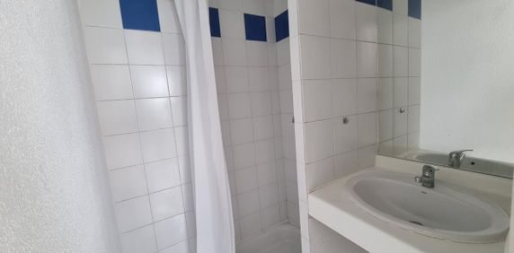 Location Appartement 1 piece Toulouse - Photo 2