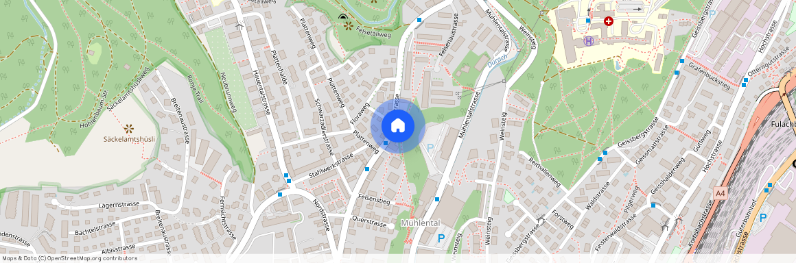 Lochstrasse 50a, 8200, Schaffhausen