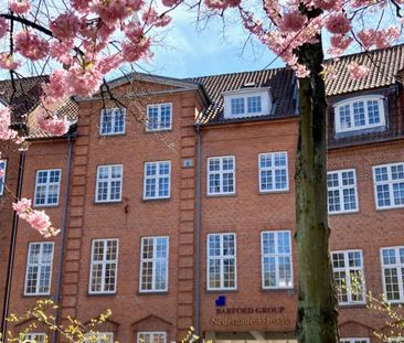 1 værelses – Nedergade 37, st. tv. – Odense C - Photo 4