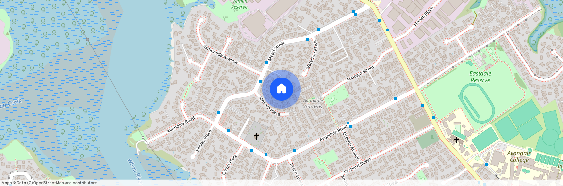 14A Meliora place, Avondale, Auckland City