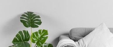 Erstbezug nach Sanierung: Helle 3- Zimmerwohnung - Photo 1